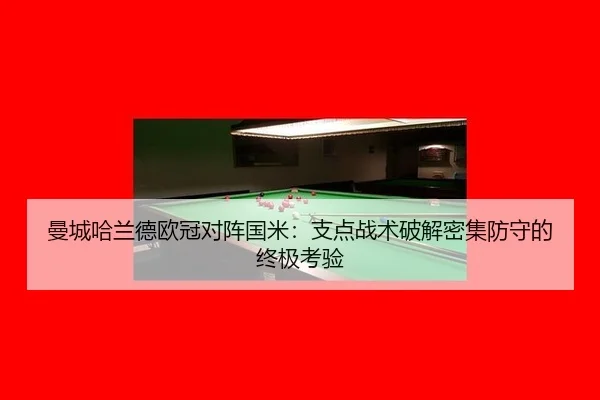 man-cheng-ha-lan-de-ou-guan-dui-zhen-guo-mi-zhi-dian-zhan-shu-po-jie-mi-ji-fang-shou-de-zhong-ji-kao-yan-3-334.jpg