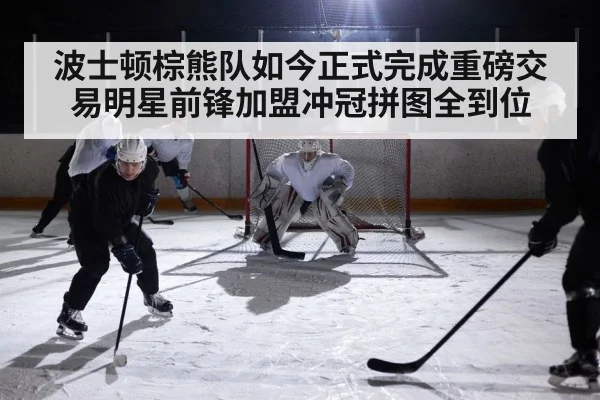 波士顿棕熊队如今正式完成重磅交易明星前锋加盟冲冠拼图全到位